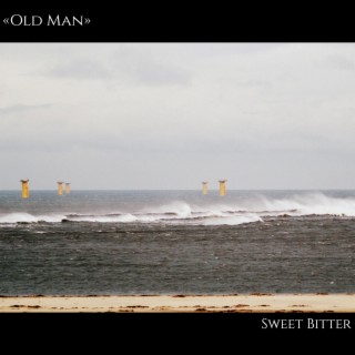 If I Could Be Anything, I Would Be... cover art