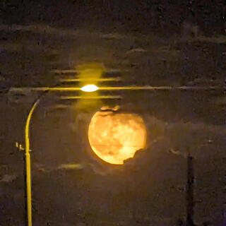 VIRGO PRESENTS: Harvest Moon (Halloween Special Album)