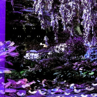 Deathcap Forest Selections