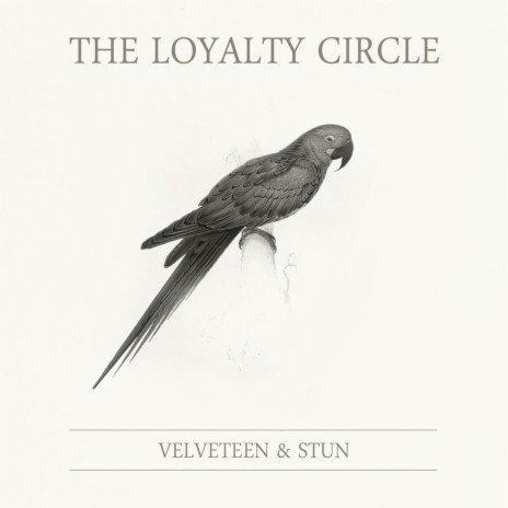 41 Pages cover art