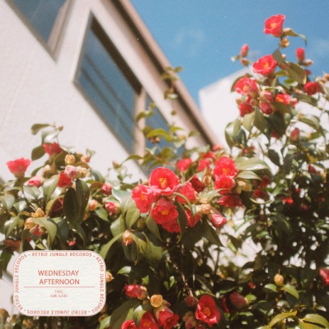 Wednesday Afternoon ft. HM Surf cover art