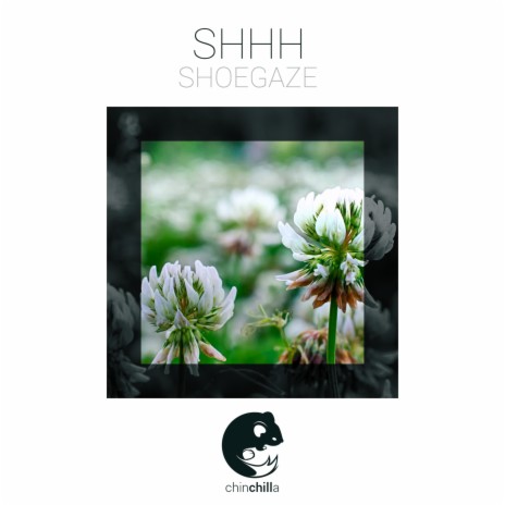 Shoegaze cover art