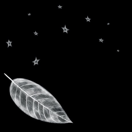 White Leaf cover art