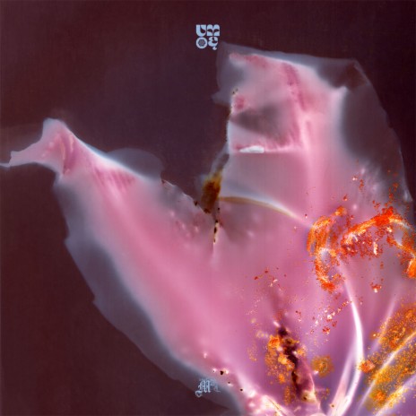Bloom ft. Madkosmos