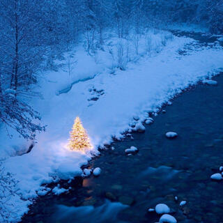 Holiday Traditions 2