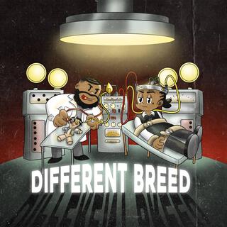 Different Breed
