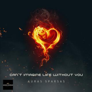Can't Imagine Life Without You cover art