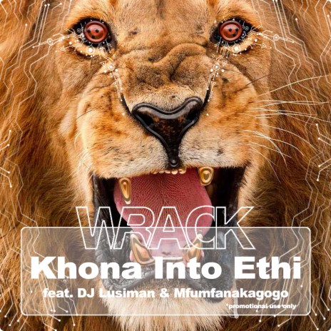 Khona Into Ethi ft. DJ Lusiman & Mfumfanakagogo cover art