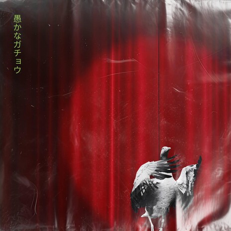 Silly Goose cover art