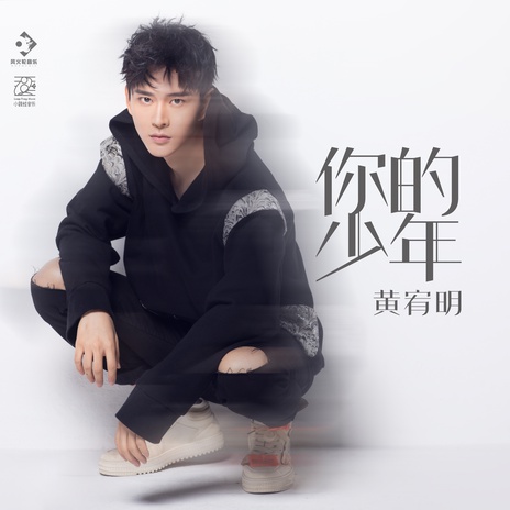 你的少年 cover art
