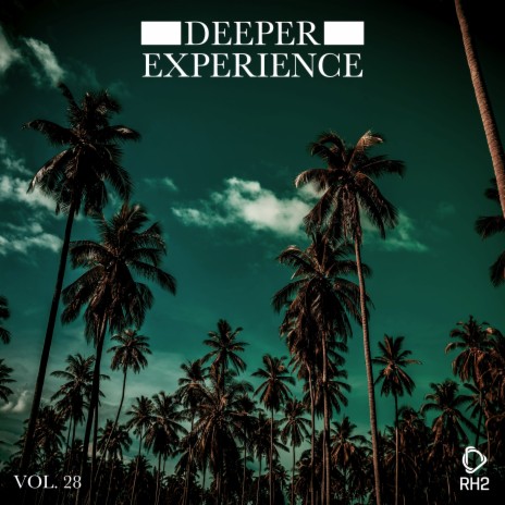 Perfect Miss (Club Mix) cover art