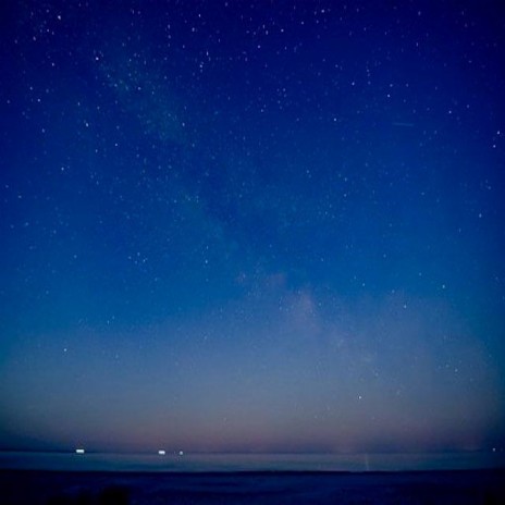特蕾西 cover art