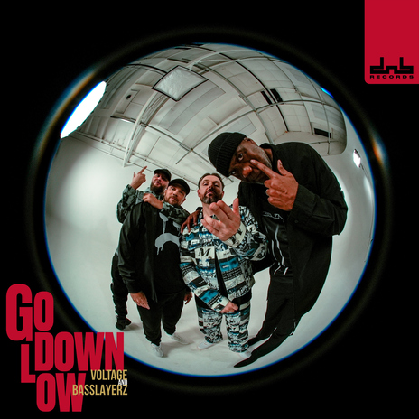Go Down Low ft. Basslayerz cover art