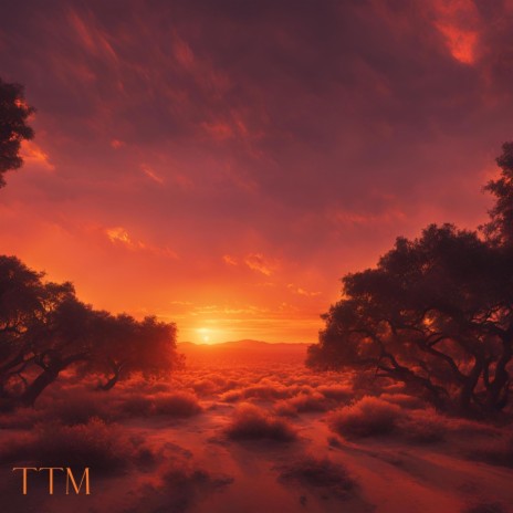 TTM cover art