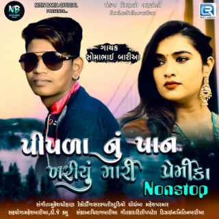 Piplanu Pan Khariyu Mari Premika Nonstop
