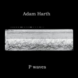 S Wave cover art