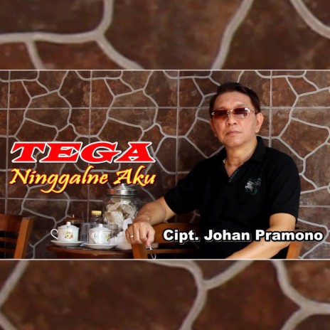 Tega NInggalne Aku cover art