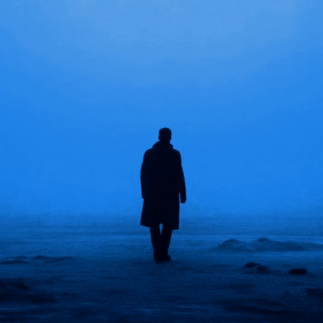 Timeless cover art