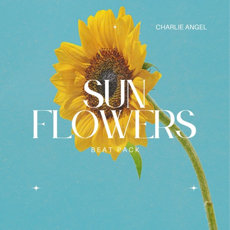 Sunflower Fields cover art