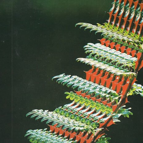 The Buchla of Bilbao cover art