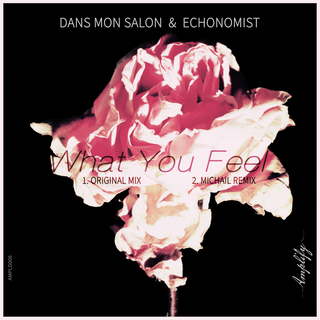 What you feel ft. Echonomist cover art