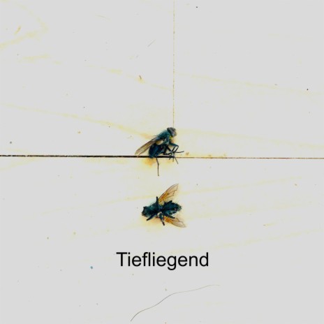 Tiefliegend cover art