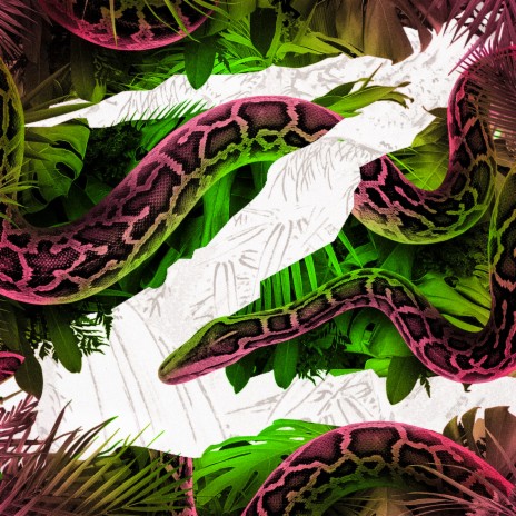 Party Right ft. Logan_olm cover art