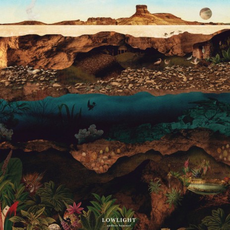 Locals Only cover art