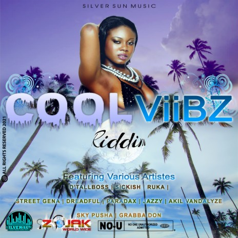 Cool Viibz Instrumental cover art