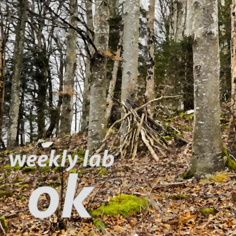 ok (23-08) cover art