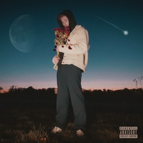 FONTAINE ROSE cover art