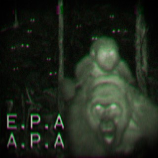 E P A