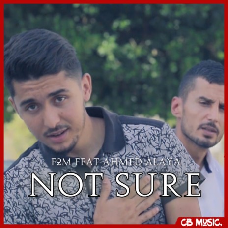 Not Sure ft. Ahmed Alaya cover art