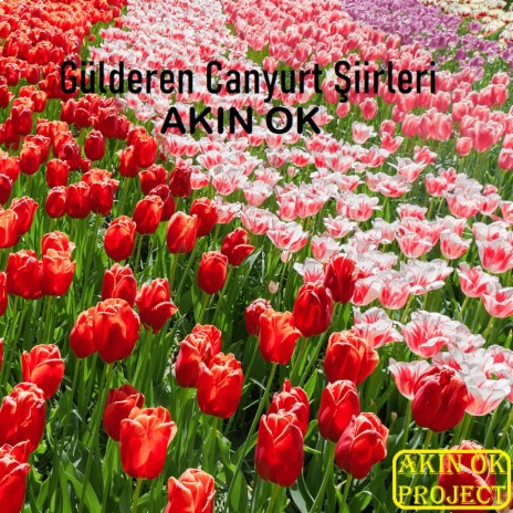 Gülderen Canyurt Şiirleri cover art