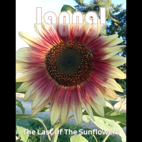 Last Breeze of Summer cover art