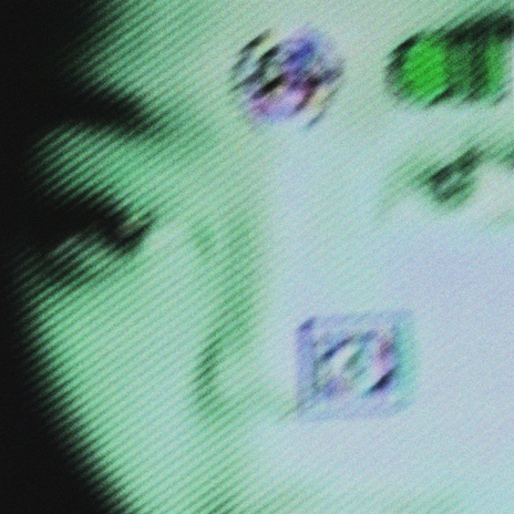 camera shy cover art