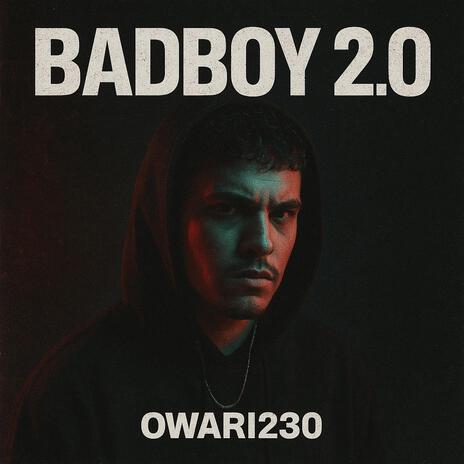 Badboy2.0 cover art