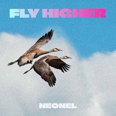 Fly higher (Radio Edit) cover art