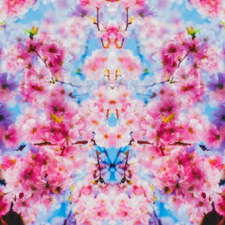 Whispering Wonder cover art