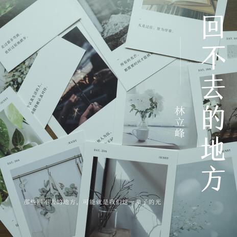 回不去的地方 cover art
