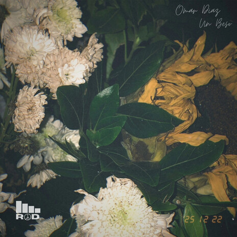 UN BESO ft. Omar Diaz cover art