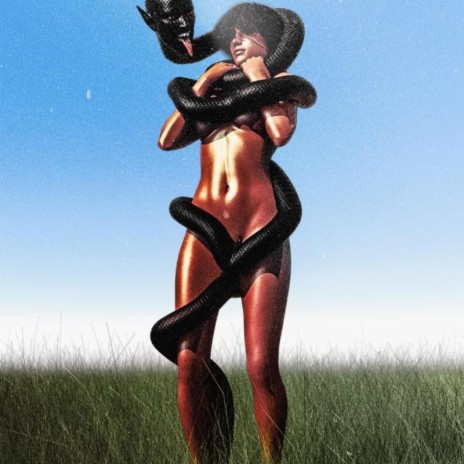 rollin cover art