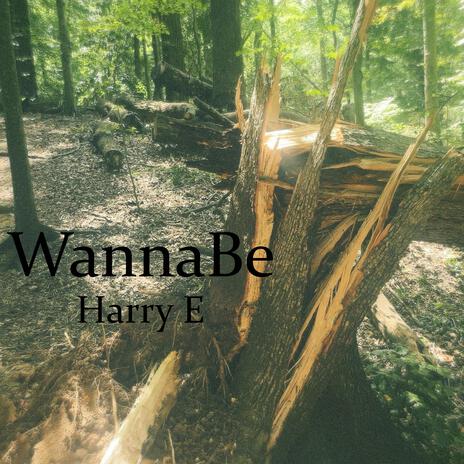 Real or Fake cover art