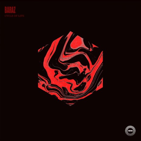 Cycle of Life cover art