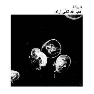 احبّ الله لانّي ارآه cover art