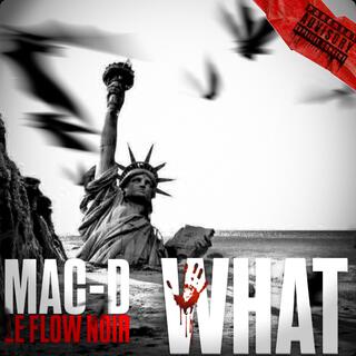 WHAT cover art