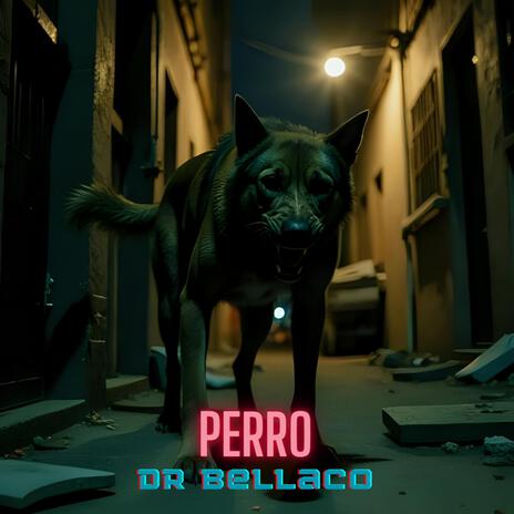 Perro