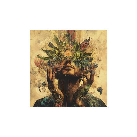 Freedom Of The Plant cover art