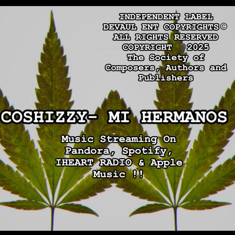 MI HERMANOS (Radio Edit) cover art