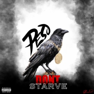 DONT STARVE